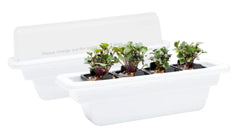RISE GARDENS NURSERY 2PK