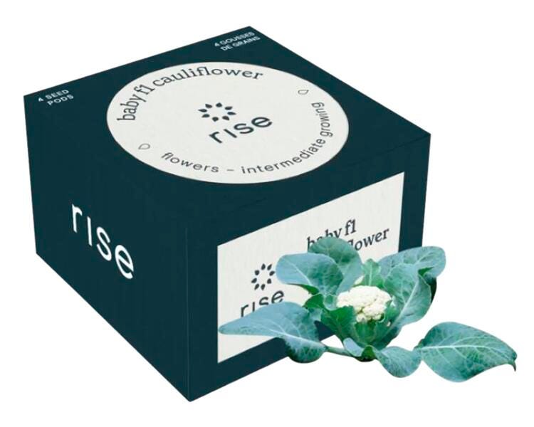 BABY CAULIFLOWER 4PK
