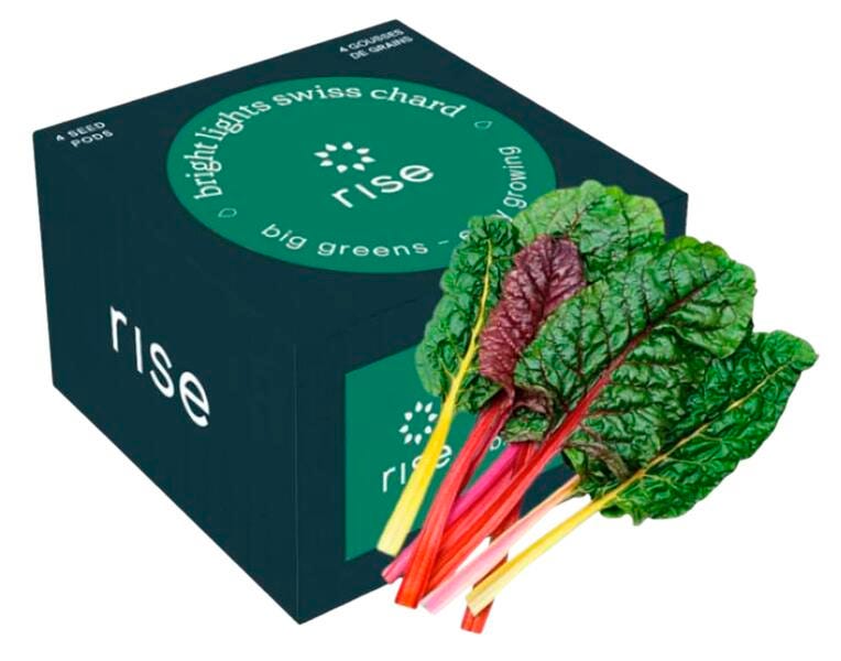 SWISS CHARD 4PK