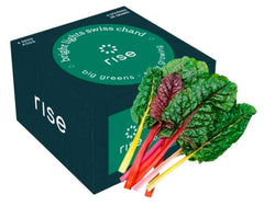 SWISS CHARD 4PK