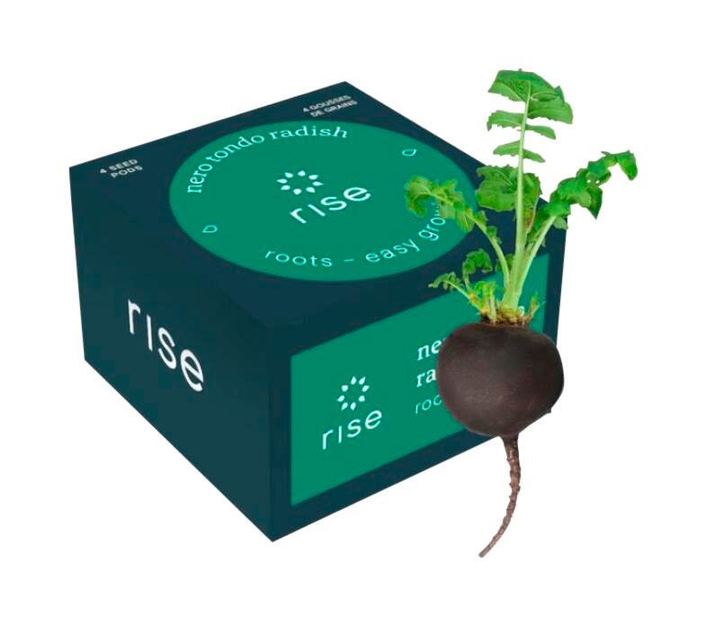 NERO TONDO BLACK RADISH 4PK