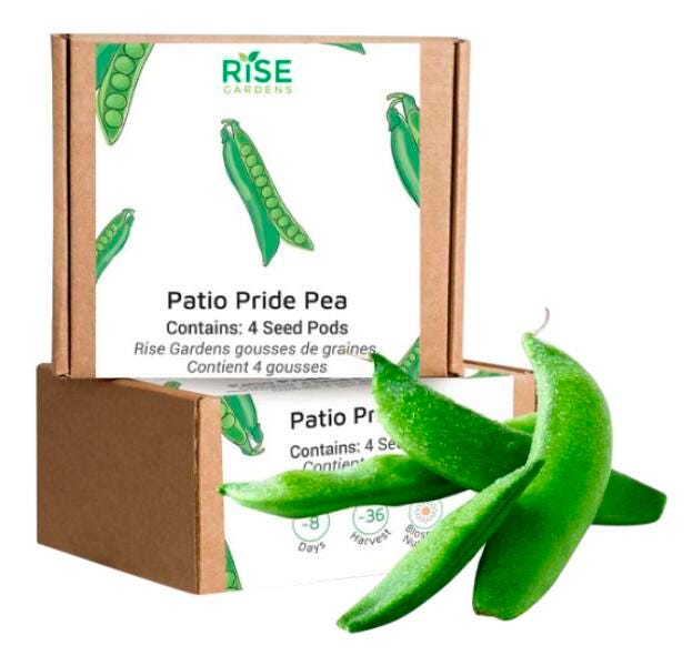 PATIO PRIDE PEA 4PK