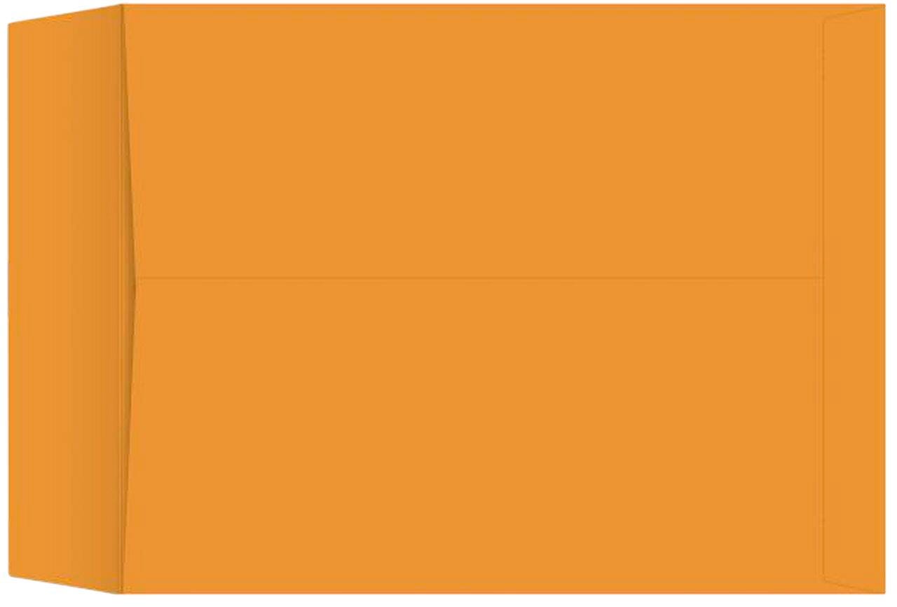 ENVELOPE SCHL SMRT KRFT UNGMD 17 X 22 IN 25 PK