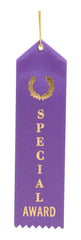 RIBBON SPECIAL AWARD