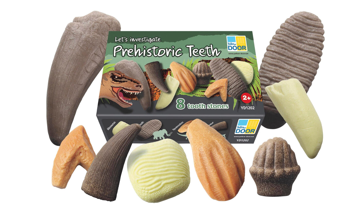 LETS INVESTIGATE PREHISTORIC TEETH