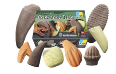 LETS INVESTIGATE PREHISTORIC TEETH