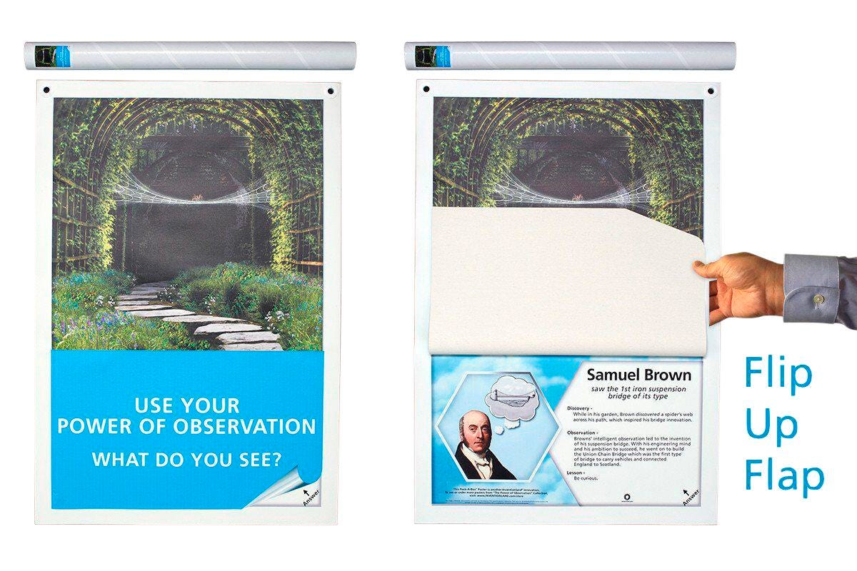 POWER OF OBSERVATION SPIDERWEB