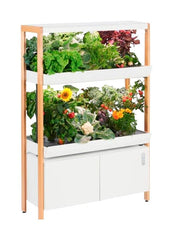 DOUBLE NEW RISE GARDEN CLOUD