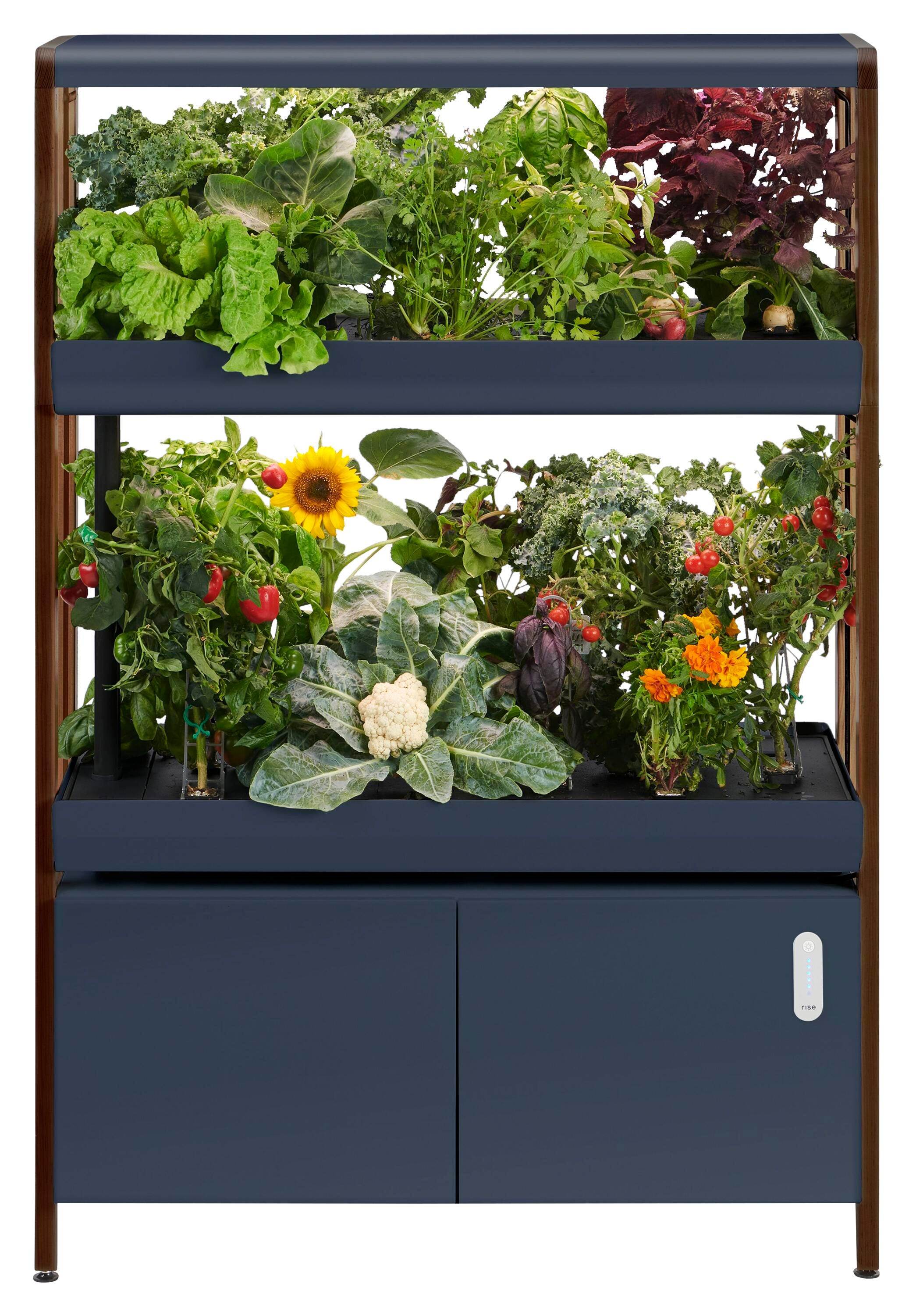 DOUBLE NEW RISE GARDEN CHARCOAL