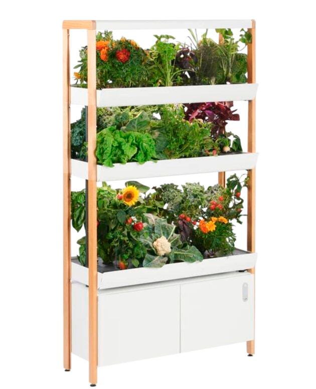 TRIPLE NEW RISE GARDEN CLOUD