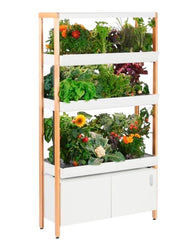 TRIPLE NEW RISE GARDEN CLOUD