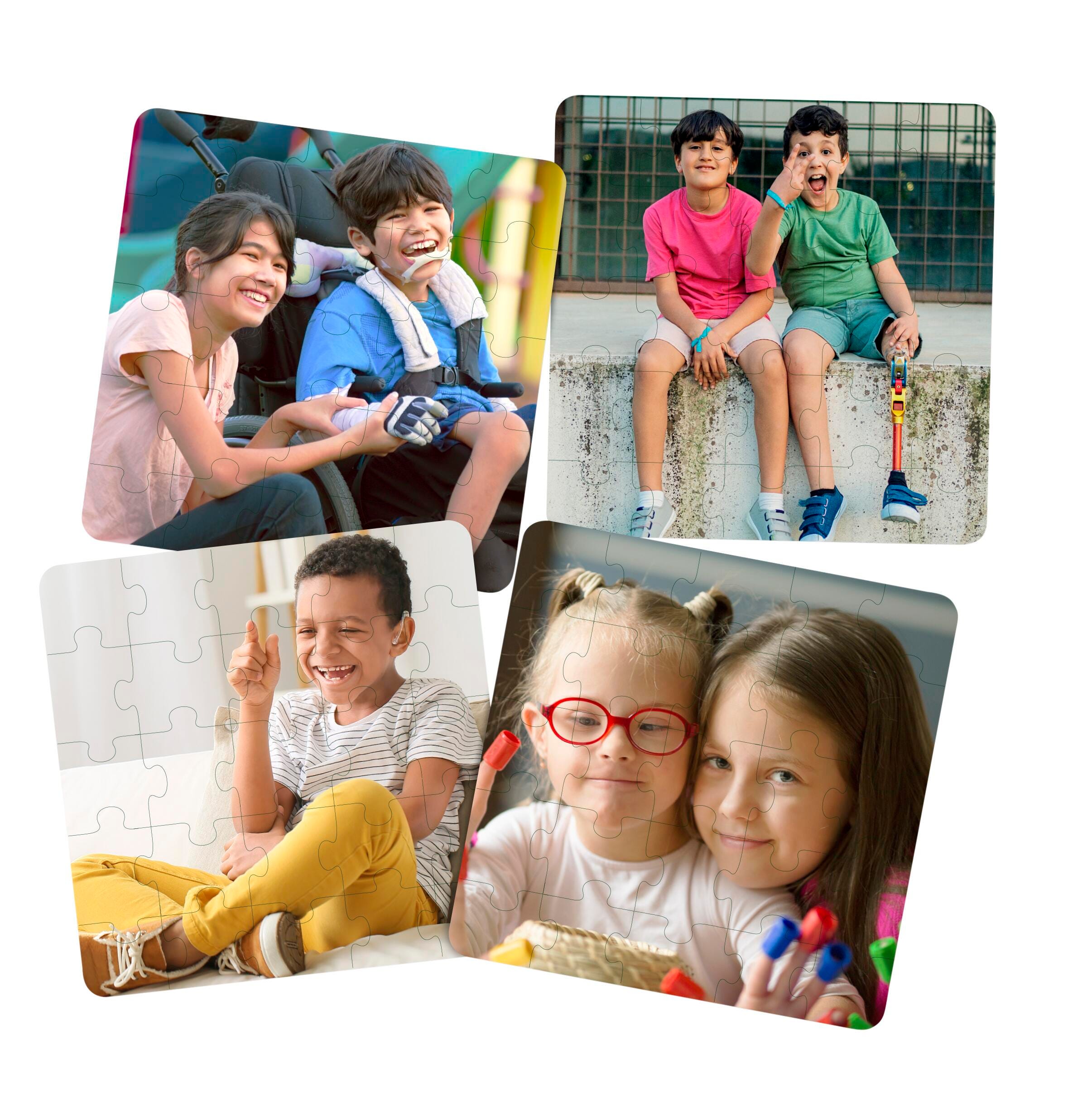INCLUSION PUZZLES SET OF 4