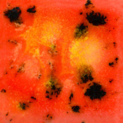 GLAZE MAYCO JUNGLE GEMS CG-1002 DAY LILY PINT