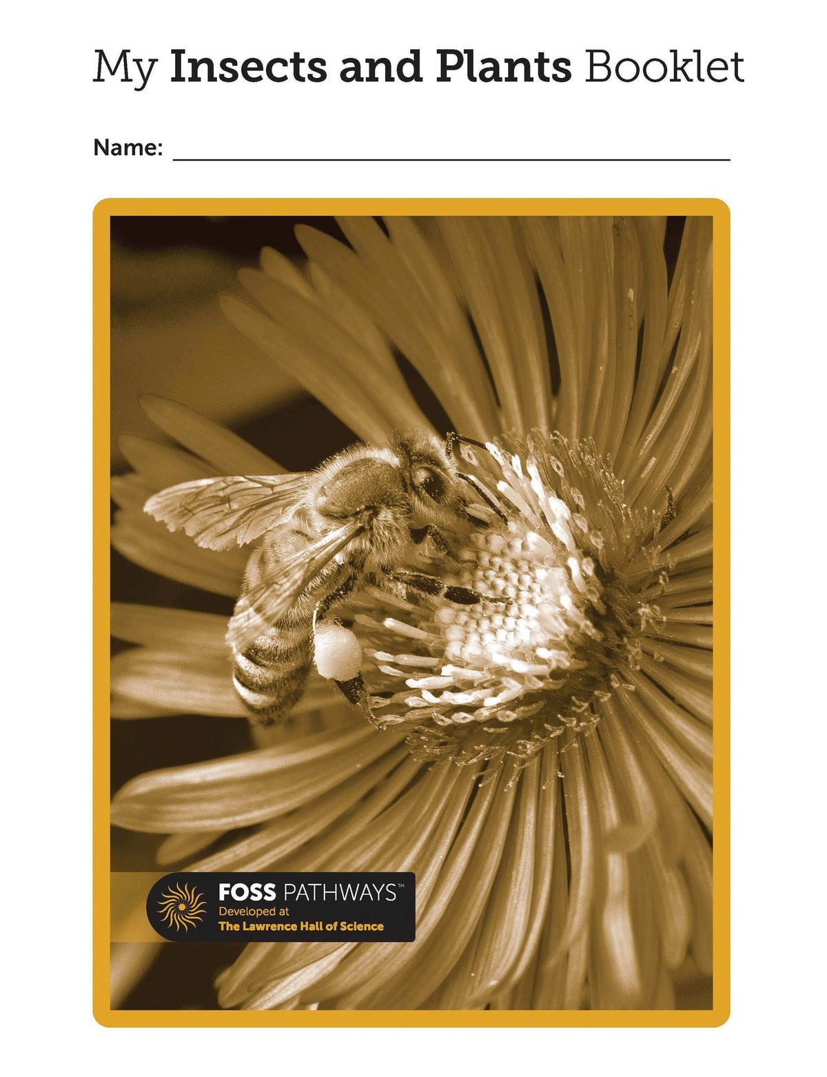 SCI BKLT CONS FOSS PW INSECTS AND PLANTS