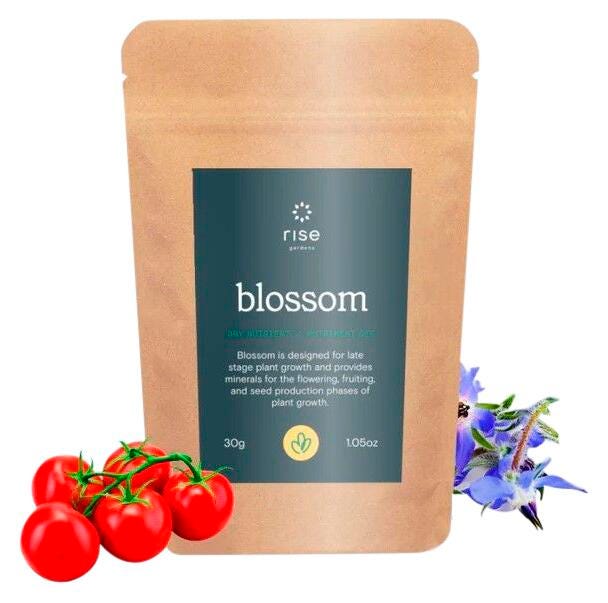 DRY NUTRIENT BLOSSOM 150G