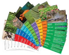 CARDS FOSS HABITAT ORGANISMS 12 SETS/8