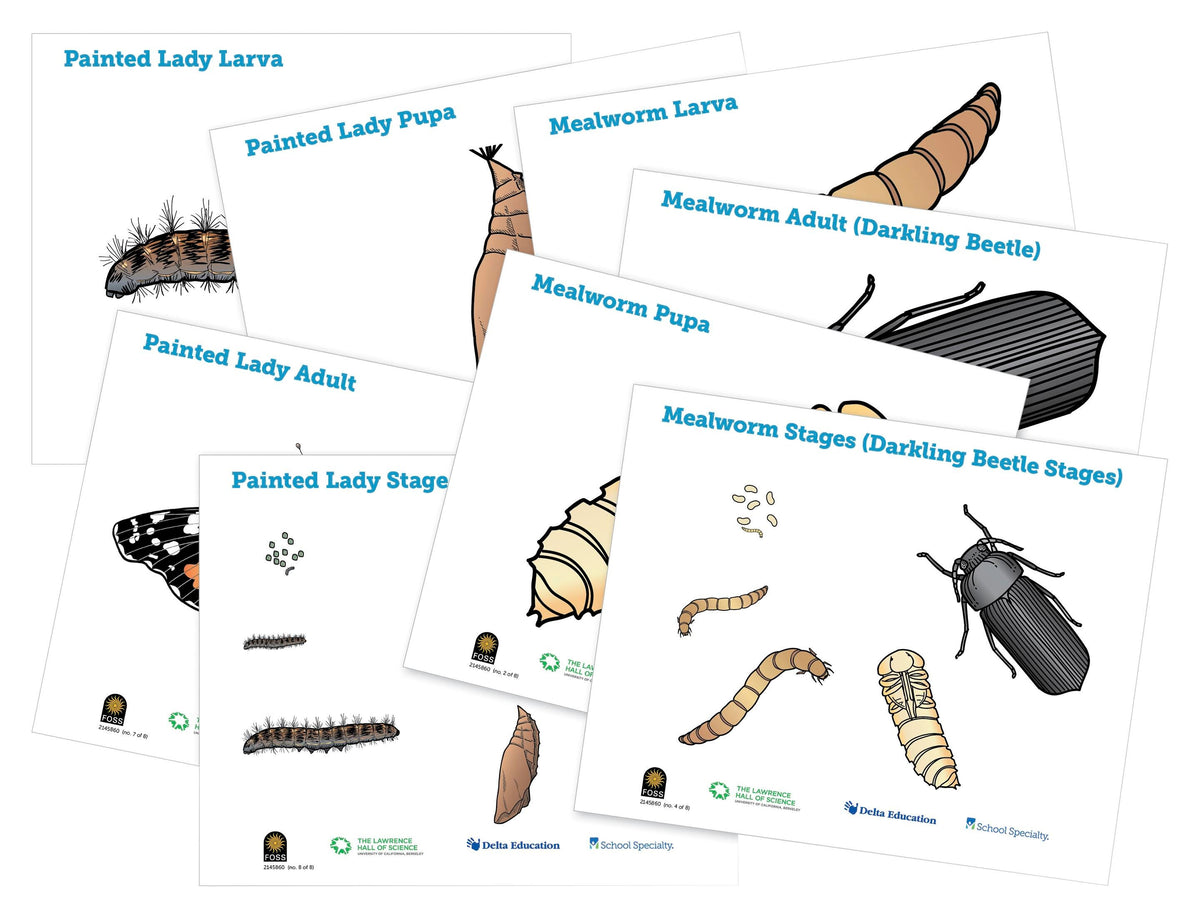 POSTERS FOSS INSECTS S/8