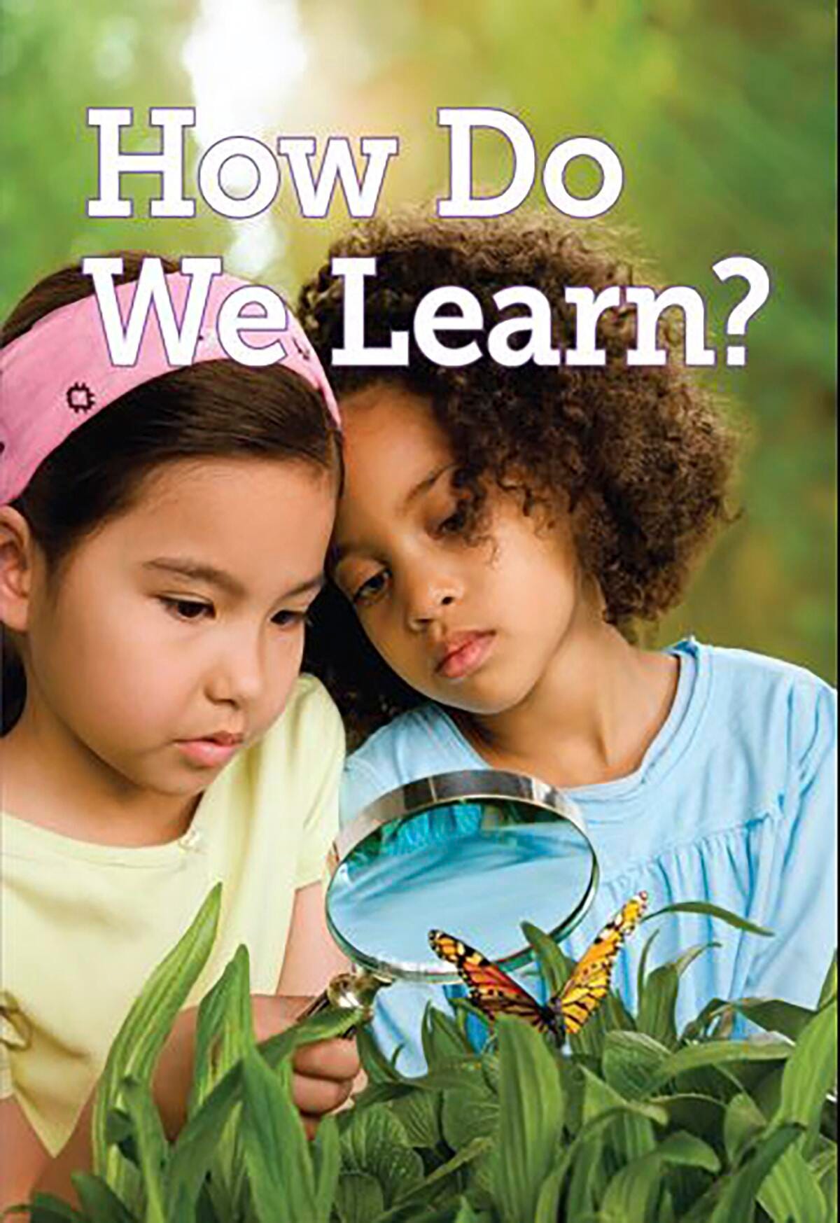 DSFR BBK HOW DO WE LEARN CR25