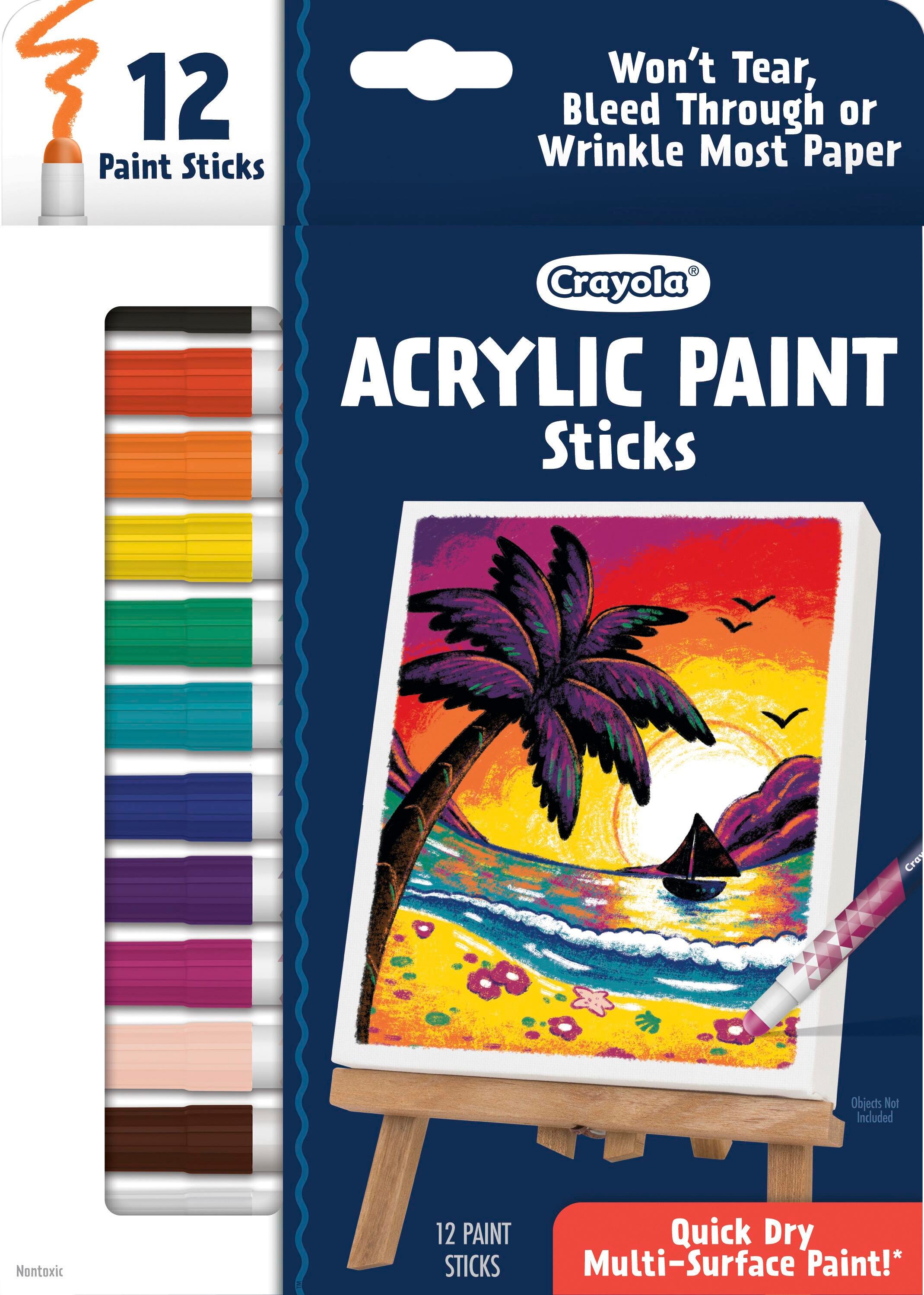 ACRYLIC PAINT DOODLE STICKS SET OF 12