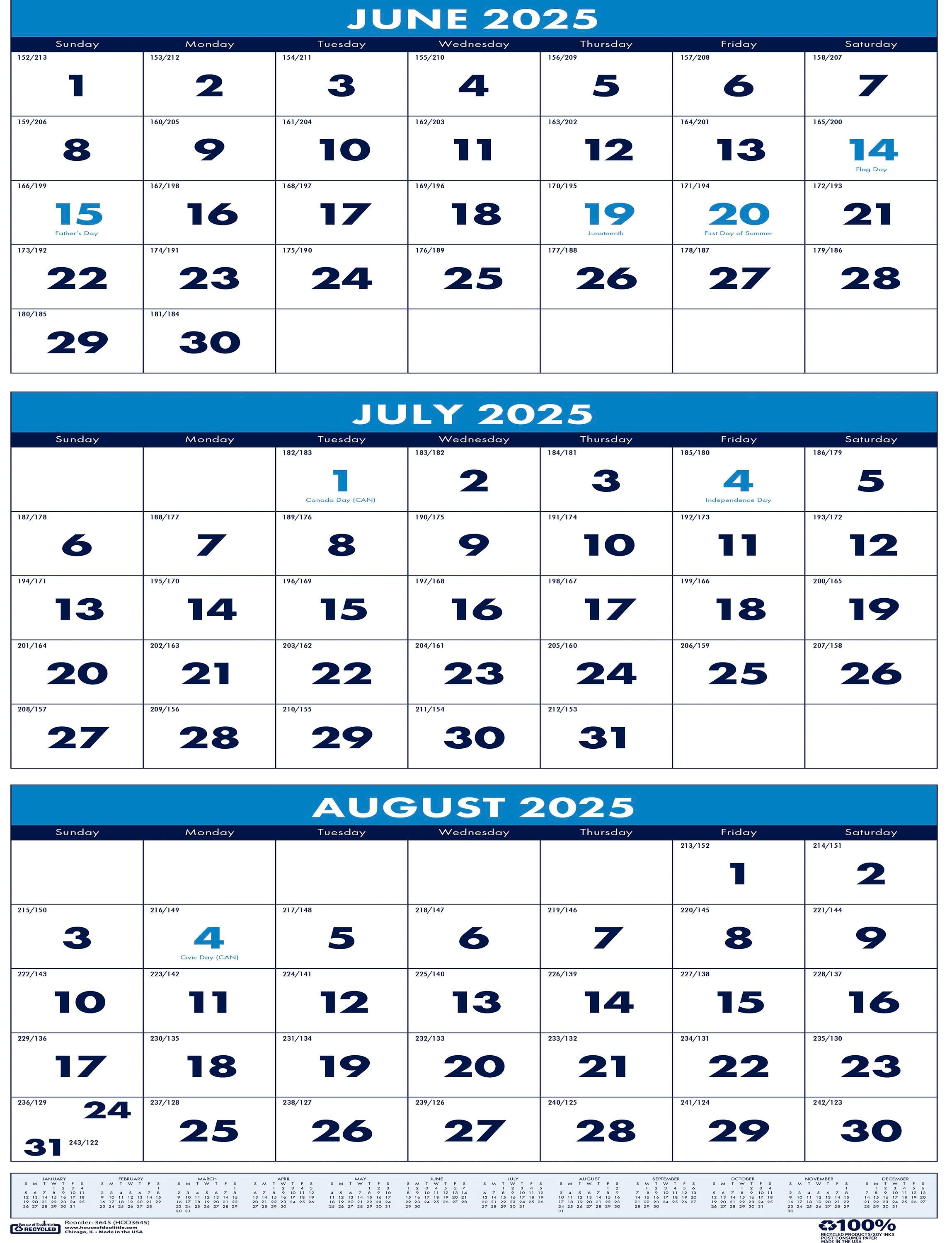 CALENDAR WALL ACADEMIC 14 MONTH 8X17 IN VERTICAL JUNE25-JULY26