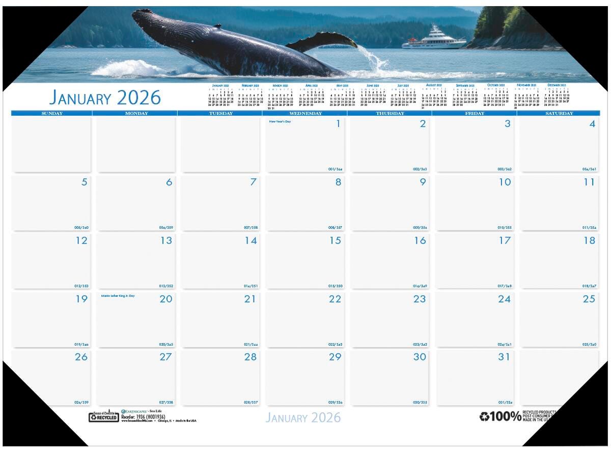 CALENDAR DESK PAD 12 MONTH 18.5X13 IN SEA LIFE JAN-DEC 2026