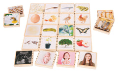 TICKIT WOODEN LIFECYCLE TILES