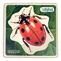 GARDEN PALS LADYBUG PUZZLE