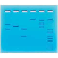 KIT RESTRICTION ENZYME CLEAVAGE OF PLASMID LAMBDA DNA