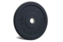 WRIGHT AMP 10 POUND PLATE