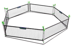 GAGA BALL FROGGY BALL