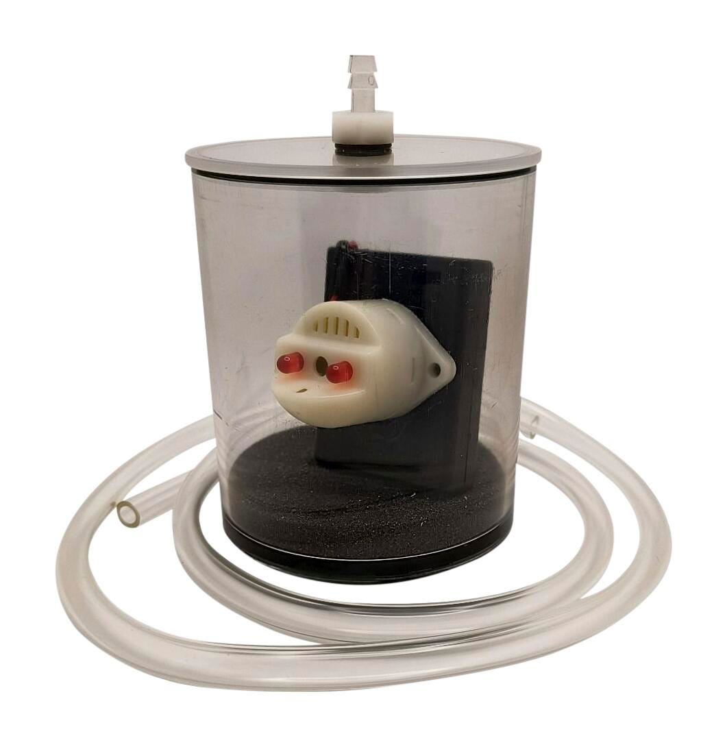 UNITED SCIENTIFIC BUZZER IN A VACUUM