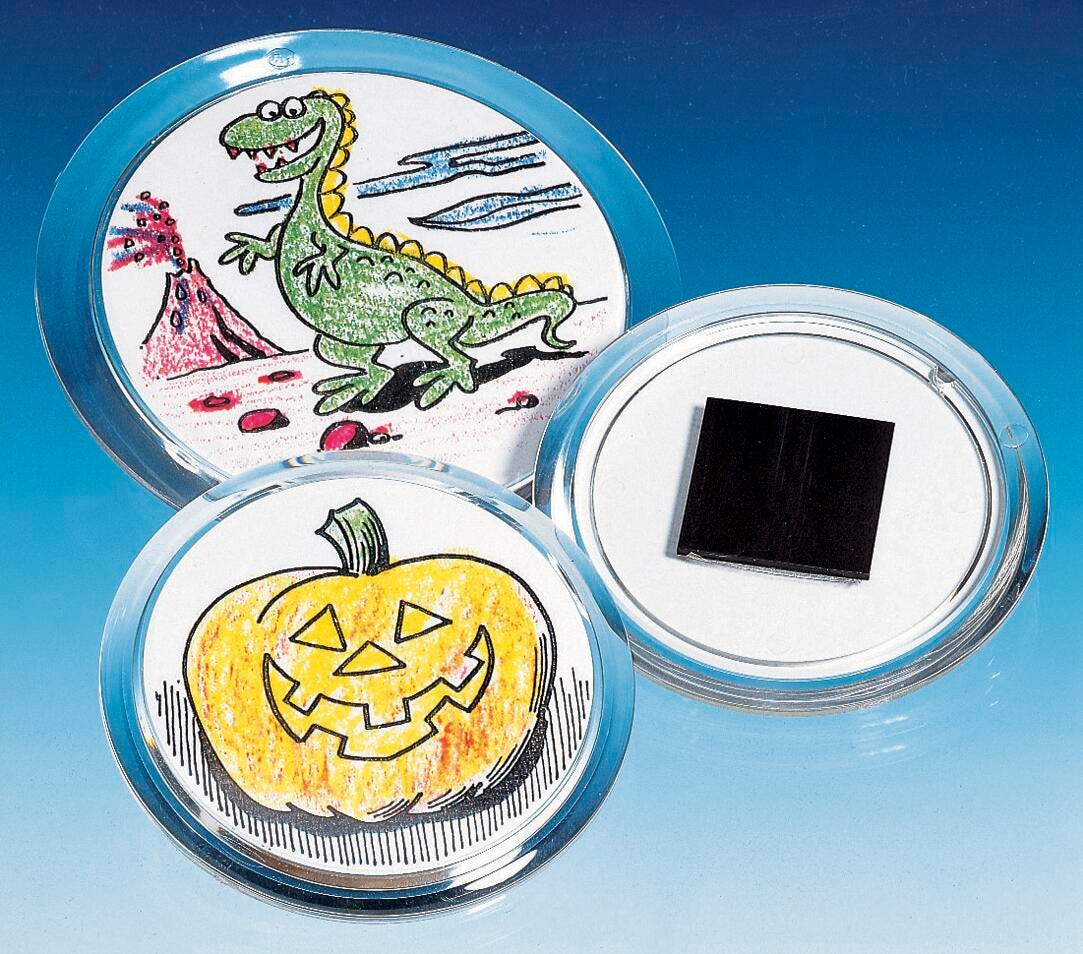 MAGNETS SNAP-IN WITH INSERT 2-7/8 IN PACK OF 12