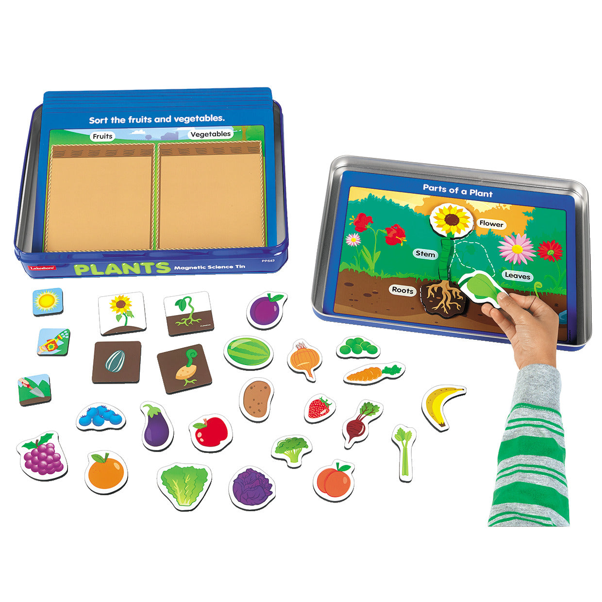 L/Things Mag.Activity Tin-Plants