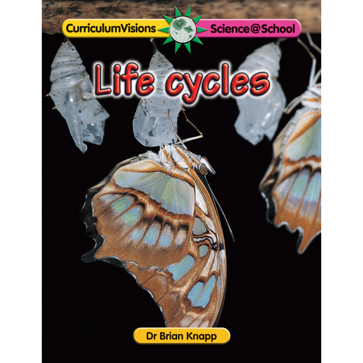 Life Cycles Book