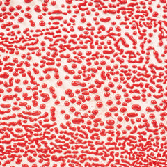 GLAZE AMACO CRAWLS CR-58 RED PINT
