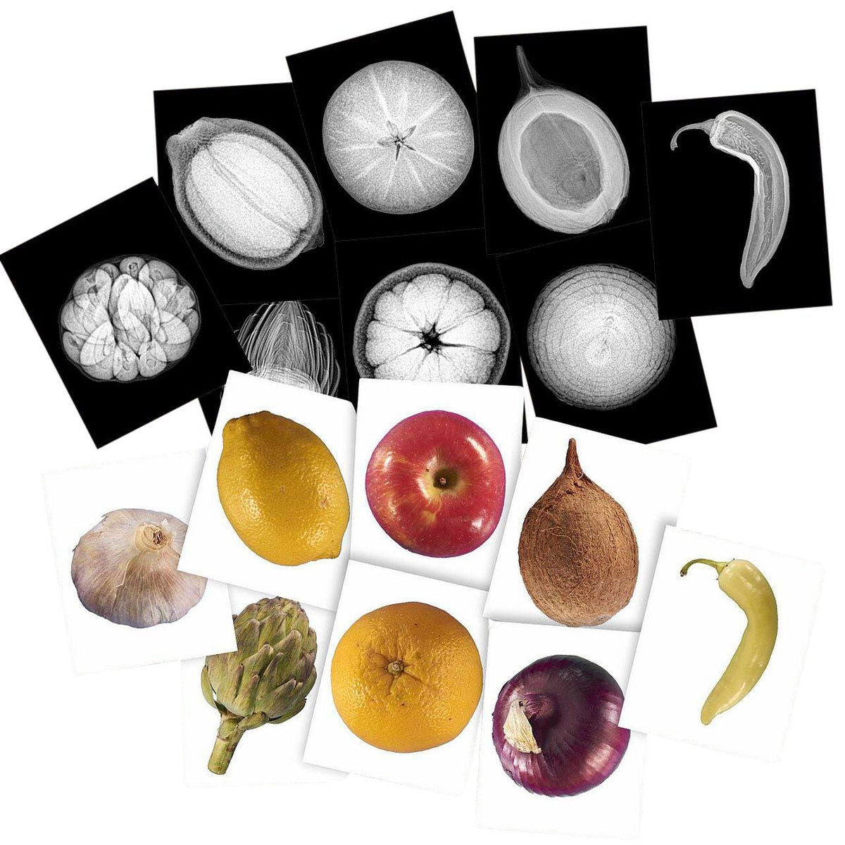 CARDS - PLANT X-RAY