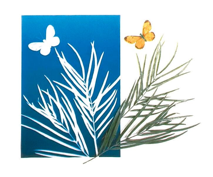 PAPER NATURE PRINT 5X7 IN PACK OF 30