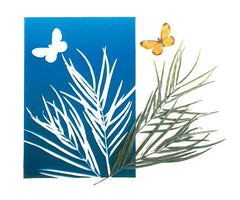 PAPER NATURE PRINT 5X7 IN PACK OF 30