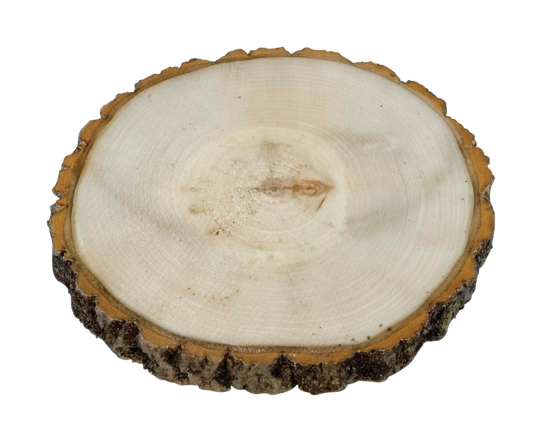 WOOD SLAB ASPEN CROSS-CUT W/BARK