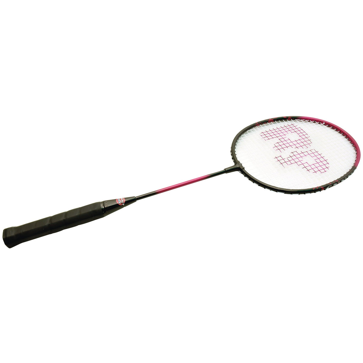 Badminton Racket Pack Flo 25