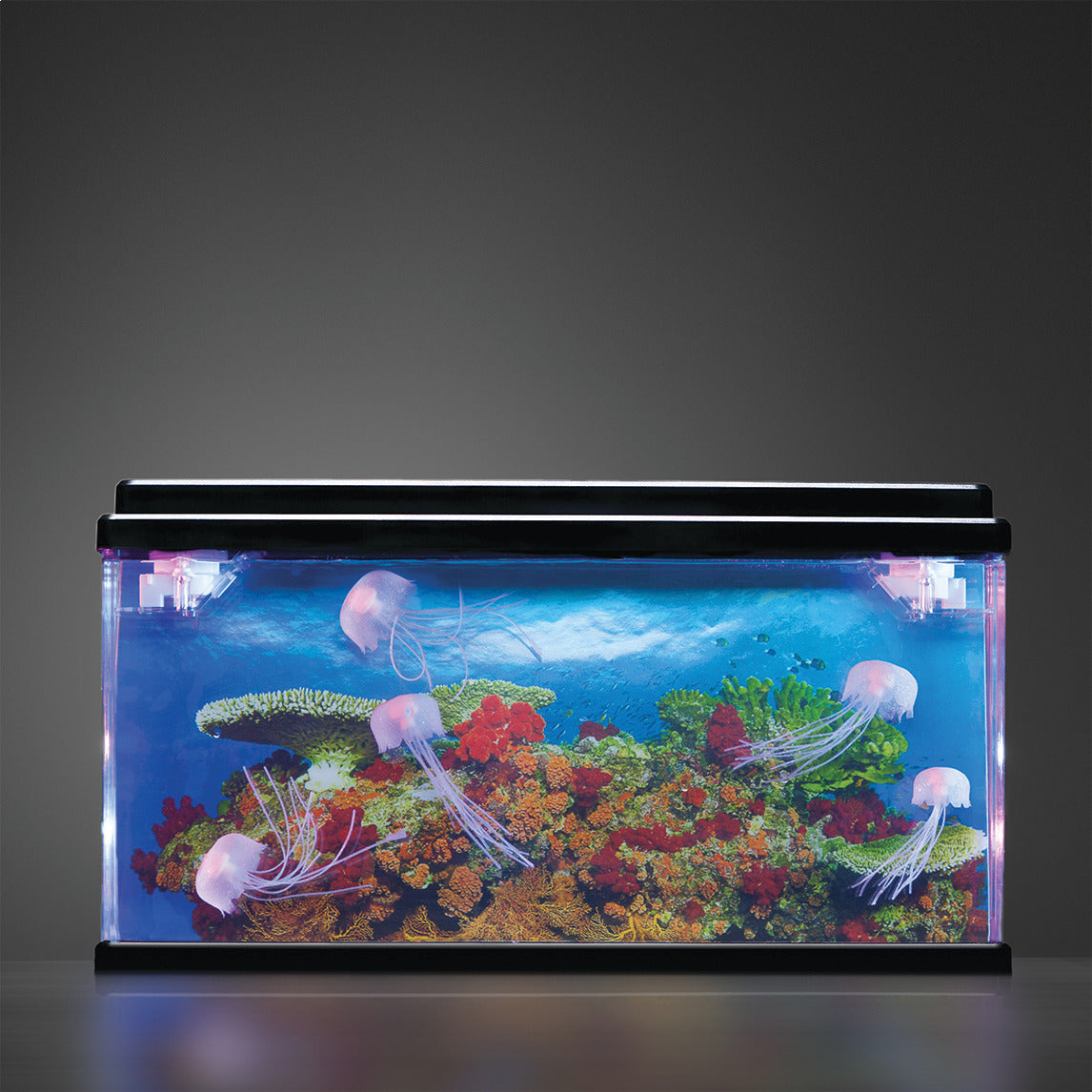 Jellyfish Tank
