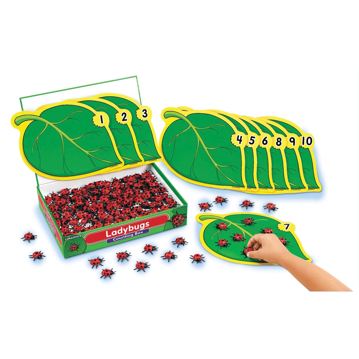 Ladybird Counting Box