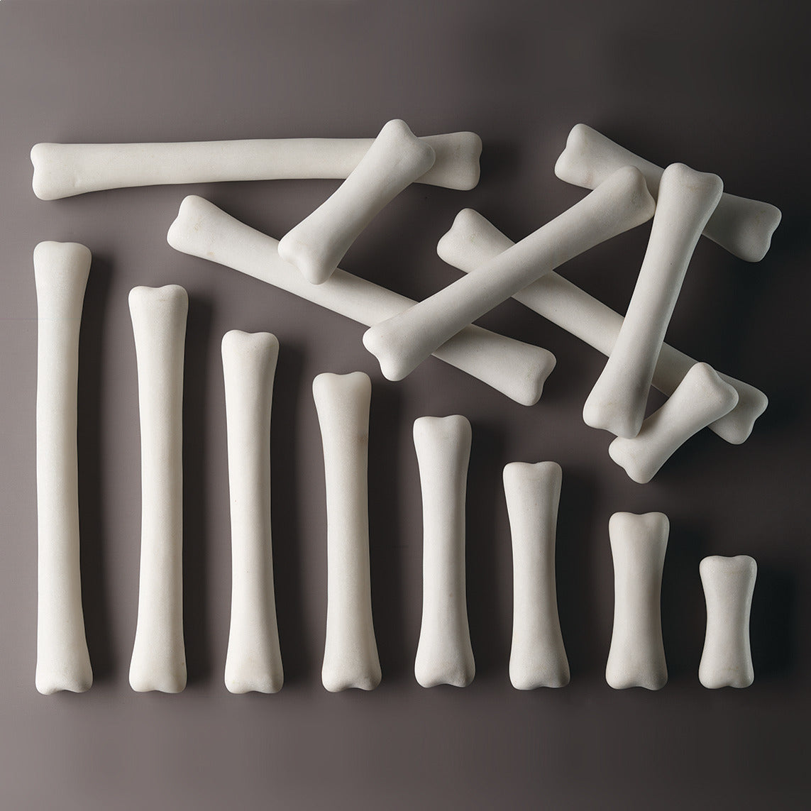 Dinosaur Bones Match And Measure