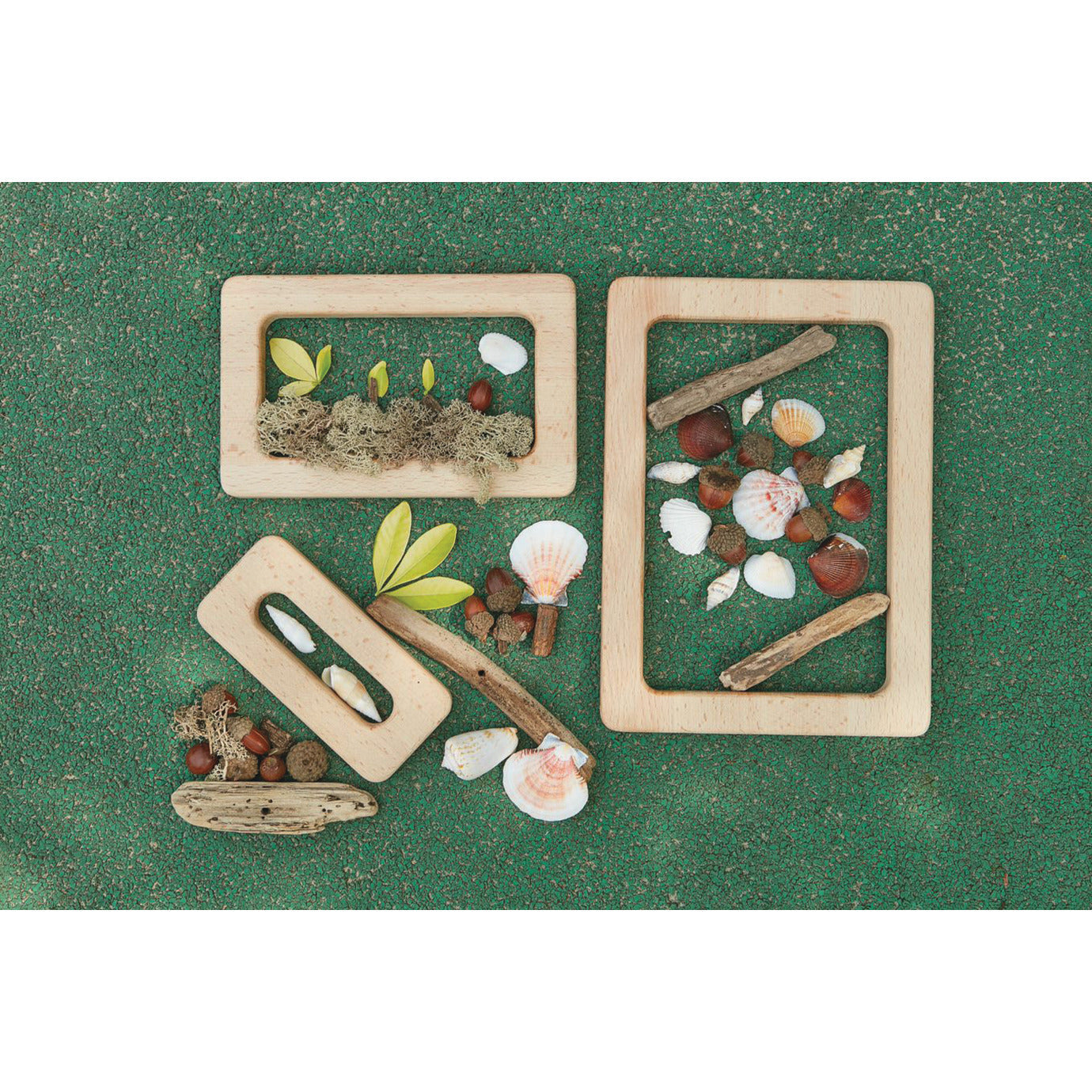 Natural Focus Frames Set Of 3