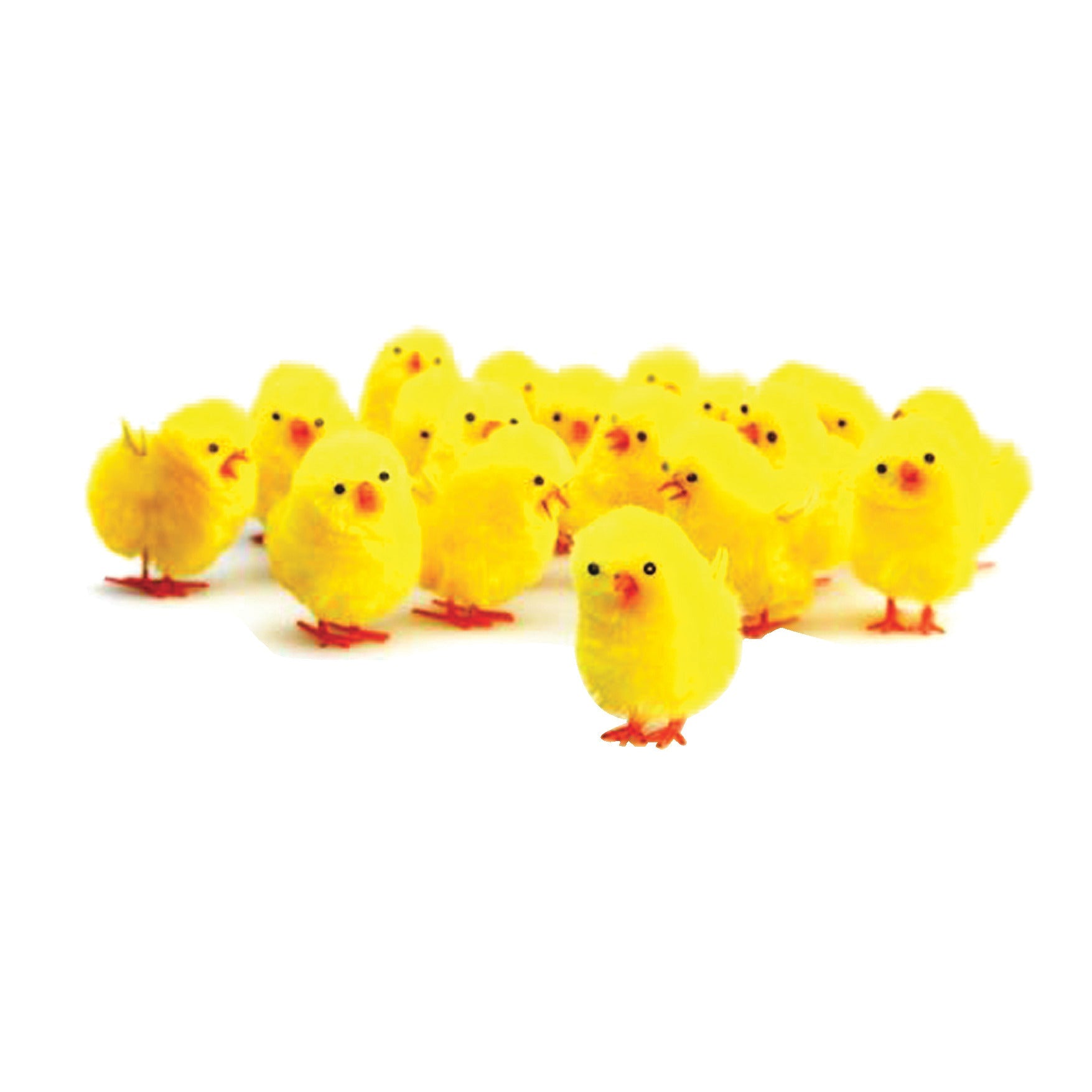 Fluffy Chicks 30Mm Pk36