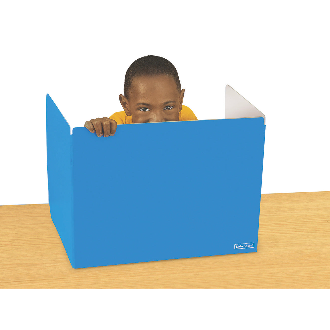 Privacy Partitions Set Of 10