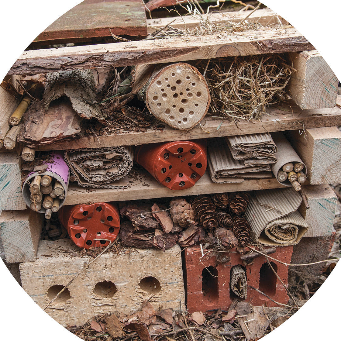 Junior Play Tray Mat 595 Minibeasts