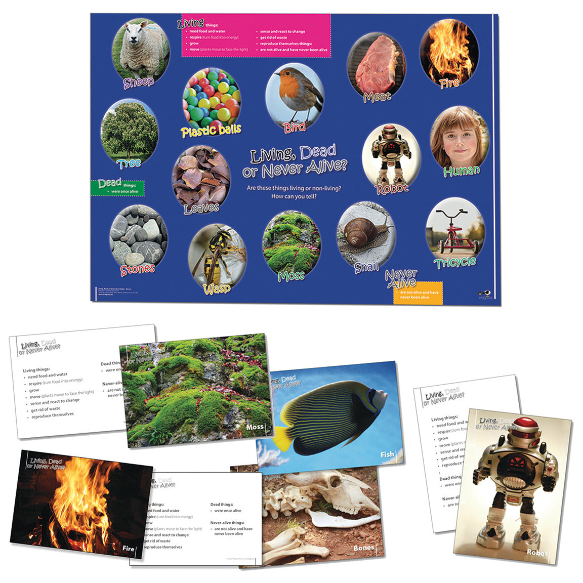 Living, Dead Or Never Alive Bundle