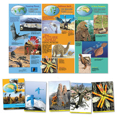 The Future Is Wild Bundle