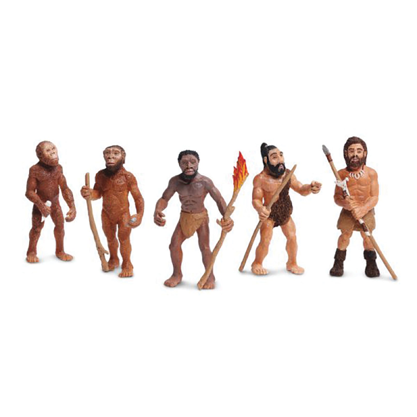 Evolution Of Man
